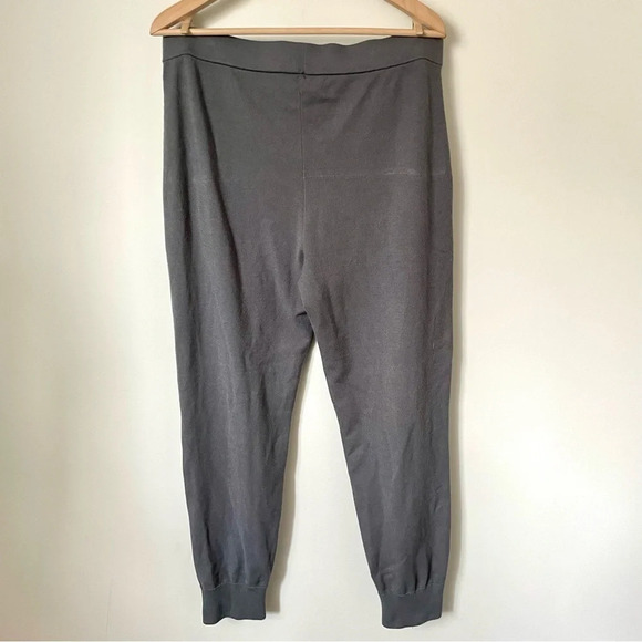 Aritzia Babaton Rodin Jogger  Grey - Picture 5 of 6